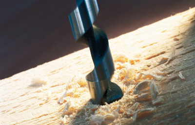 Bosch - Ahşap için Yılan Matkap Ucu 8*235 mm